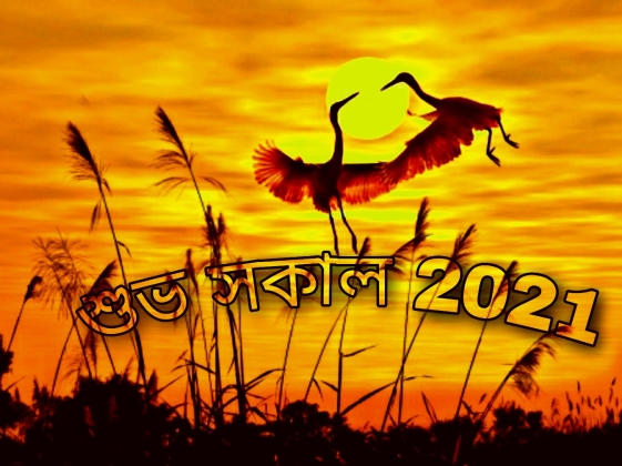 2021 স ল র নত ন প ক ছব ফট প কচ র Janarupay Com