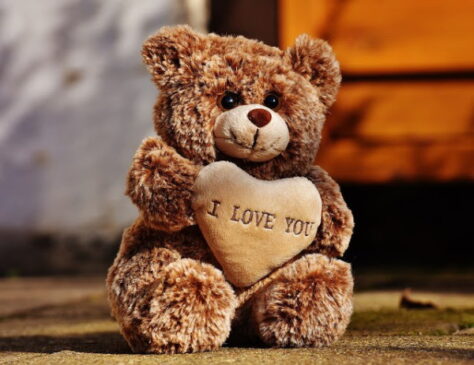 teddy day images 