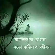 একলা জীবন প্রোফাইল ফটো