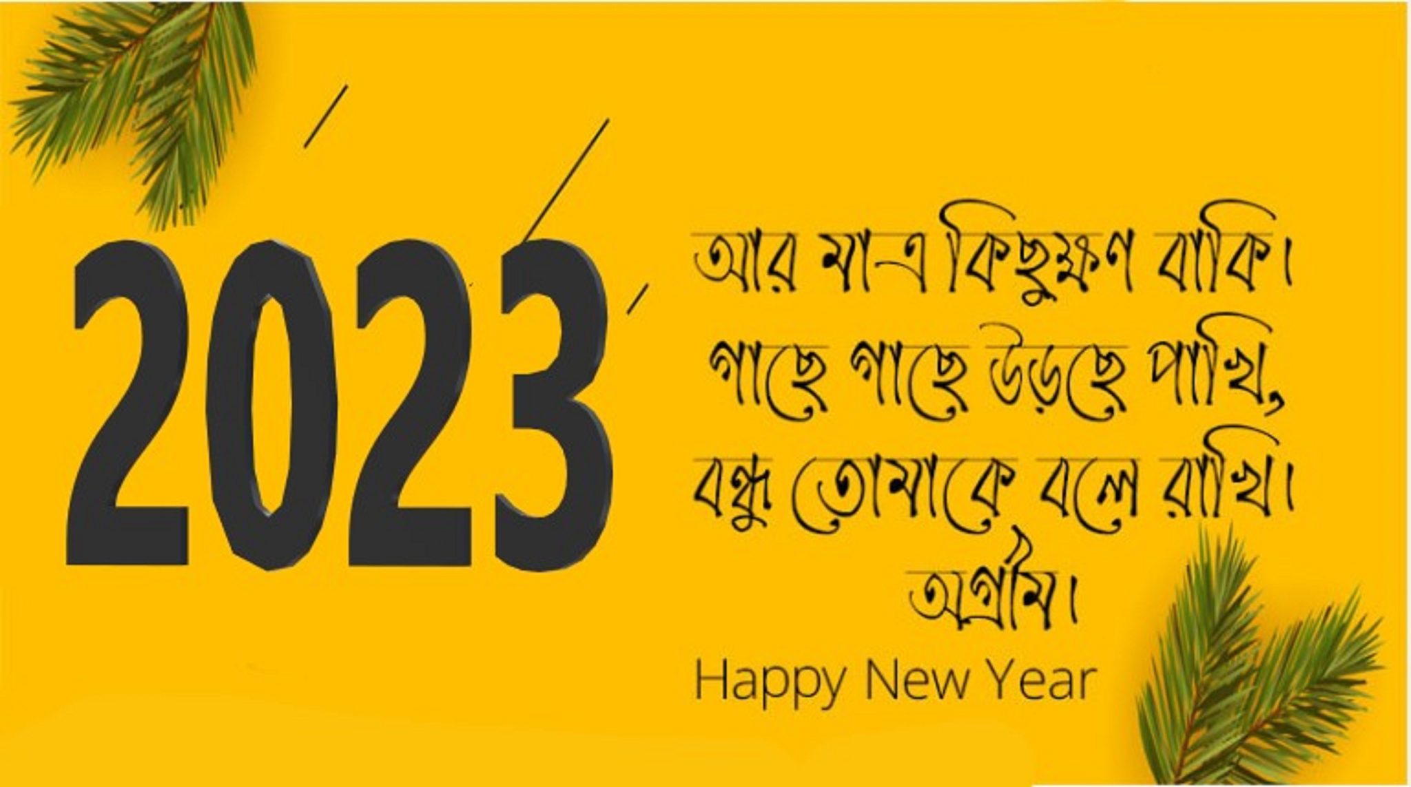 2023 সালের নতুন পিক ছবি ফটো পিকচার Janarupay