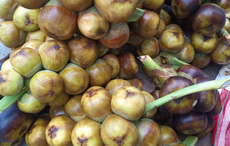 তালের আঠি খাওয়ার উপকারিতা