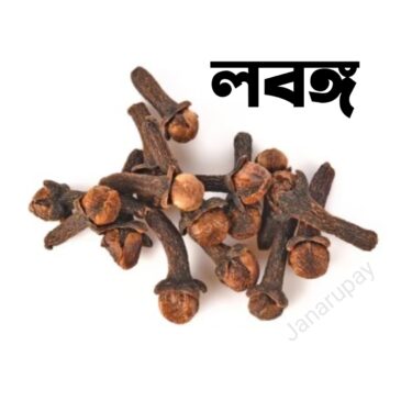 লবঙ্গ সঠিক নিয়মে খাওয়াটা জরুরি।