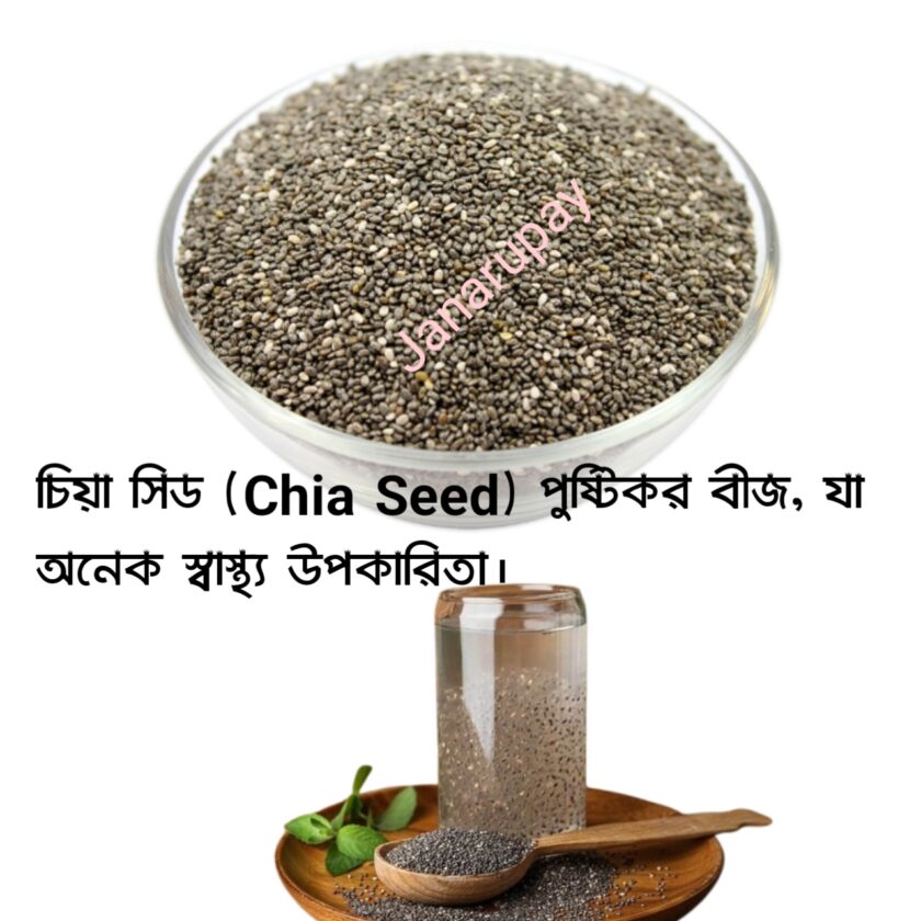 চিয়া সিড (Chia Seed) পুষ্টিকর বীজ, যা অনেক স্বাস্থ্য উপকারিতা।