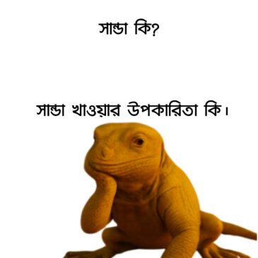 সান্ডা কি? সান্ডা খাওয়ার উপকারিতা কি।