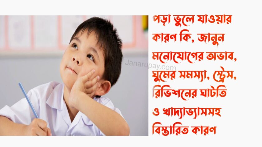 পড়া ভুলে যাওয়ার কারণ