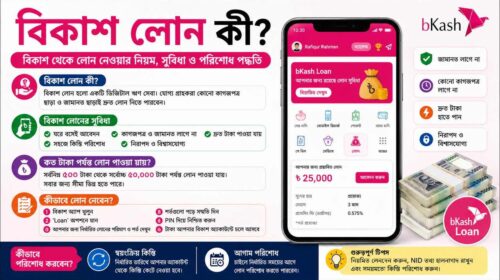 বিকাশ লোন